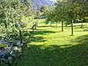 Clicca sull'immagine per ingrandirla

Nome:   10082010014.jpg 
Visite: 52 
Dimensione:   203.3 KB 
ID: 54784