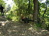 Clicca sull'immagine per ingrandirla

Nome:   DSCF4027.jpg&nbsp;
Visite: 71&nbsp;
Dimensione:   201.7 KB&nbsp;
ID: 56510