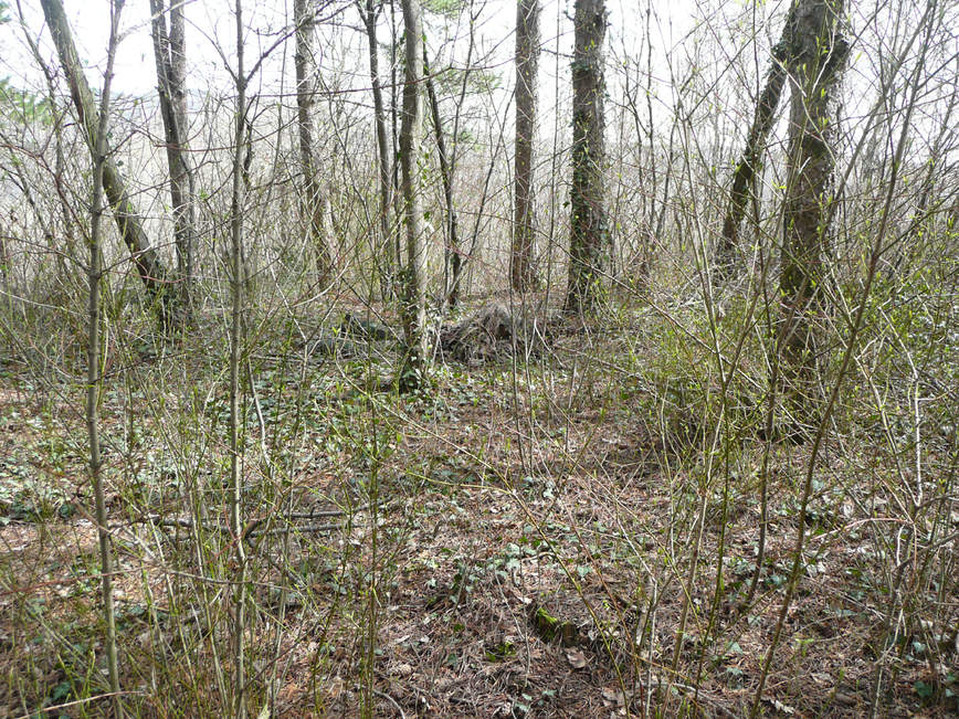 04   partita tregnago 1 4 10 (12)