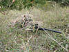 Clicca sull'immagine per ingrandirla

Nome:   L1170657.JPG 
Visite: 83 
Dimensione:   71.0 KB 
ID: 6192