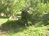 Clicca sull'immagine per ingrandirla

Nome:   DSCN2500.jpg 
Visite: 279 
Dimensione:   82.3 KB 
ID: 67132