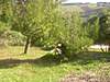 Clicca sull'immagine per ingrandirla

Nome:   DSCN2499.jpg 
Visite: 250 
Dimensione:   75.5 KB 
ID: 67133