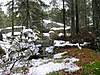Clicca sull'immagine per ingrandirla

Nome:   110kg3l.jpg 
Visite: 169 
Dimensione:   56.0 KB 
ID: 70700