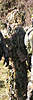 Clicca sull'immagine per ingrandirla

Nome:   ghillie2.jpg 
Visite: 50 
Dimensione:   16.6 KB 
ID: 80131