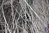 Clicca sull'immagine per ingrandirla

Nome:   RS_10096.JPG 
Visite: 50 
Dimensione:   145.3 KB 
ID: 80907