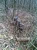 ghillie 20 2 11 (2)