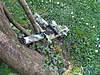 Clicca sull'immagine per ingrandirla

Nome:   SNV80400.jpg 
Visite: 233 
Dimensione:   204.9 KB 
ID: 86671