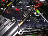 Clicca sull'immagine per ingrandirla

Nome:   DSCN3263.jpg 
Visite: 81 
Dimensione:   148.8 KB 
ID: 89549