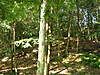 Clicca sull'immagine per ingrandirla

Nome:   b_094402.jpg&nbsp;
Visite: 38&nbsp;
Dimensione:   132.4 KB&nbsp;
ID: 93710