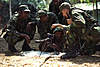 Clicca sull'immagine per ingrandirla

Nome:   Serbian mercenaries training troops in Zaire8.jpg 
Visite: 26 
Dimensione:   117.1 KB 
ID: 151716