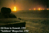 Clicca sull'immagine per ingrandirla

Nome:   oilfire1.gif 
Visite: 44 
Dimensione:   24.6 KB 
ID: 260980