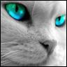 L'avatar di Jackie