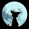 L'avatar di _Lupo_