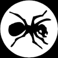 L'avatar di Rosafante