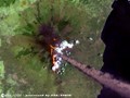 L'avatar di Montagna