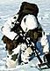 Locusta avatar