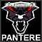 rota_bob avatar