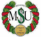MontanaMsu avatar