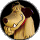 stizzo avatar