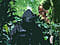 tranchillo avatar