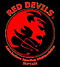 lo svizzero avatar