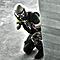 Snake91tp avatar