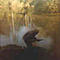 echeverria avatar
