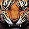 ERIX avatar