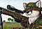 Fox75 avatar
