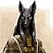 Anubis avatar