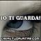 orso.bruno62 avatar