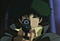 Brasa avatar