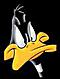 duck avatar